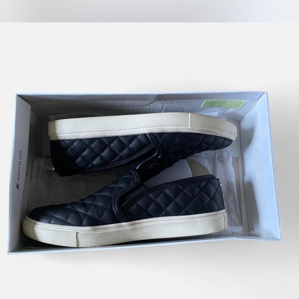 Steve Madden Black and White Low-Top Sneakers